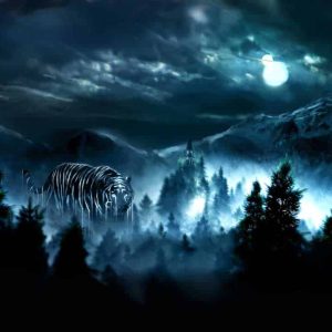 Divine Shadow Tiger